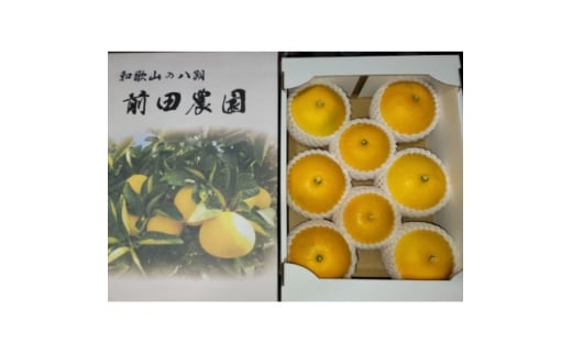 ＜特別栽培＞和歌山県産　贈答用　八朔3L(8個入り)【1640099】