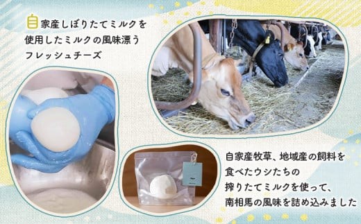 手作りモッツァレラチーズ　福島　南相馬市産