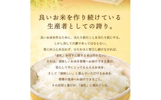 お米　精米【金札米特別栽培米江刺産ひとめぼれ30kg】10kg×3 減農薬栽培米 特別栽培米 江刺金札米 ひとめぼれ パック米（5kg×4袋）※発送
