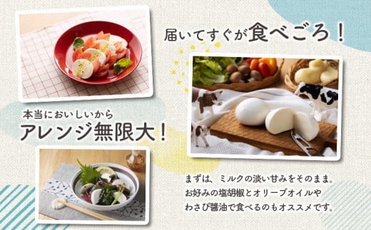手作りモッツァレラチーズ　福島　南相馬市産