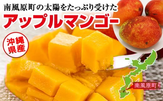 アイテムID:457442の画像4枚目