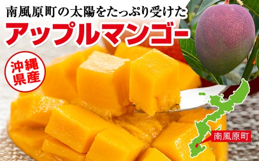 おまかせマンゴー2.8㎏ 2026年発送】 サンフルーツ糸満のマンゴー 家庭用 2kg | 沖縄県