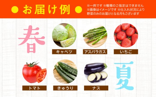 旬を味わう野菜セットとフルーツ定期便（6種以上）