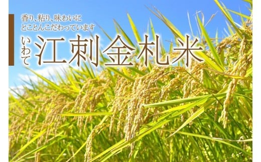 令和６年 岩手県江刺市 特別栽培米 ひとめぼれ 5kg✖️2 令和6年産】田中米穀 特別栽培米岩手江刺産ひとめぼれ 5kg｜うさ