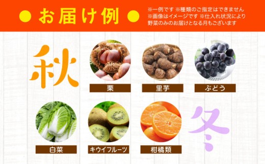 旬を味わう野菜セットと果物詰め合わせセレクションボックス（6種以上）