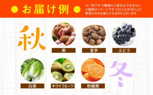 旬を味わう野菜セットとフルーツ定期便（6種以上）