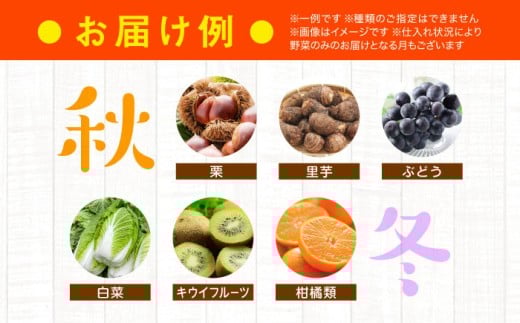 旬を味わう野菜セットと果物定期便（8種以上）