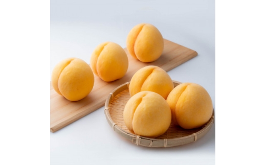 ご家庭用　岡山県産黄金桃　約1.5kg(5～6玉)【1614333】 2198350 - 岡山県津山市