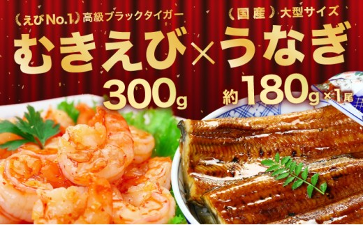 国産 うなぎ 蒲焼き（無頭 約180g前後）×1尾 ＆ 特大 高級ブラックタイガー(大型 むきえび) 300g ＜最短3営業日以内発送・着日指定 可能＞【甲羅組 長焼 うな重 うな丼 ひつまぶし 鰻 蒲焼 惣菜 丑の日 お中元 お歳暮 人気 高評価 下処理不要 むきエビ えび エビ 海老 人気】[024-e011_(20)]