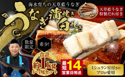 【ミシュラン星付きのプロが愛用】1日5セット限定！海水育ちの天草藍うなぎ 紅白5～7尾セット【合計約1kg】数量限定!! 鰻 ウナギ うなぎ うなぎ蒲焼 鰻の蒲焼 うなぎ 国産 白焼き