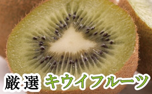 [11月より発送]厳選 キウイ0.5kg+250g(傷み補償分)[扁平果] / 和歌山 フルーツ 果物 くだもの 旬 キウイフルーツ キウイ 栄養たっぷり[ikd700B]