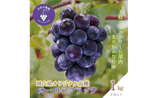 岡山　花笑み農園のブドウ『オーロラブラック』1kg(2房)　A-1＜9月上旬～順次発送＞【1628324】 2198397 - 岡山県津山市