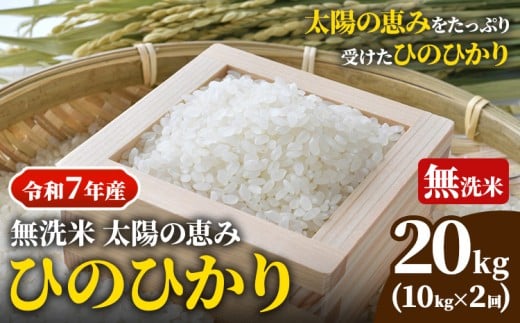 【令和7年産 予約受付】 岡山県産 ひのひかり 笠岡産 10kg×2回（計20kg） 太陽の恵み （無洗米） st-p