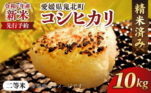 【R7年産新米】愛媛県産 コシヒカリ 10kg ｜ ご飯 白米 お米 令和7年産 5kg 10kg 20kg 精米済み ※2025年10月上旬～12月下旬頃に順次発送予定 ※離島への配送不可