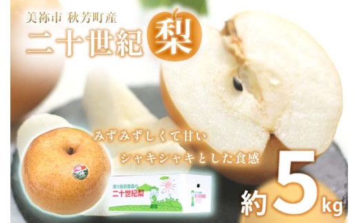 美祢市秋芳町産 二十世紀梨 （ 約5kg ）【先行予約：9月より発送予定】｜ 二十世紀  なし 梨 フルーツ 大きい BIG サイズ 特産品 美祢市 美祢 山口県 山口 秋芳町 秋芳 カルスト台地 先行予約 1018477 - 山口県美祢市