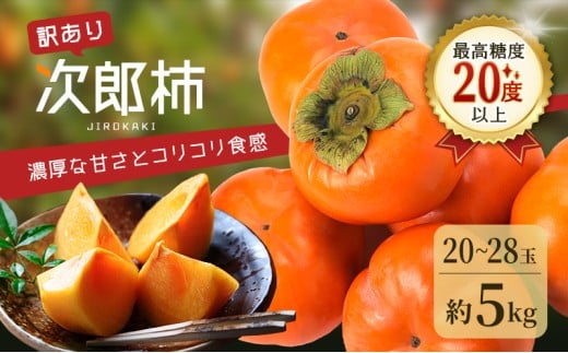 訳あり 長生き次郎柿「長寿郎(ちょうじゅろう)」2L〜Mサイズ 5kg 20〜28玉入り 11月発送 柿 かき 果物 くだもの フルーツ 旬の果物 次郎柿 静岡 浜松市[配送不可:離島] 