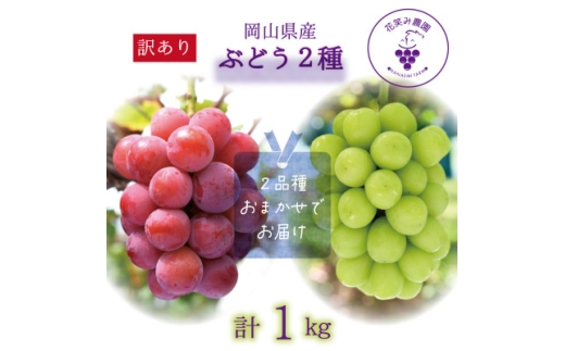 岡山　花笑み農園の『訳あり2種MIX』ブドウ1kg　W2M-1＜9月中旬～順次発送＞【1628310】 2198388 - 岡山県津山市