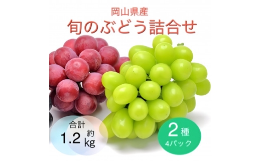 ＜2025年9月より順次発送＞岡山県産 旬のぶどう詰合せ 2種4パックセット【1575467】