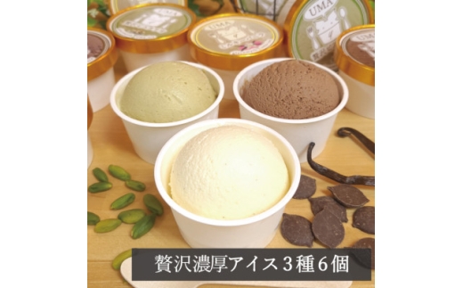 アイス職人の作るこだわりアイスクリーム3種6個セット 各90ml入り ピスタチオ チョコ バニラ【1577221】 2196469 - 岡山県津山市