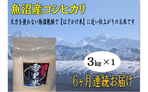 生産者直送! 魚沼産コシヒカリ [雪里米 ふるさとまい] 精米 3kg 6ヶ月 連続お届け ( 米 定期便 コシヒカリ 魚沼産 雪里米 ふるさと米 白米 お米 こめ コメ こしひかり 魚沼 半年 6回 お楽しみ )