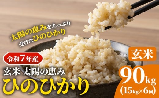 【令和7年産】 岡山県産 ひのひかり 笠岡産 15kg×6回（計90kg） 太陽の恵み （玄米） st-p