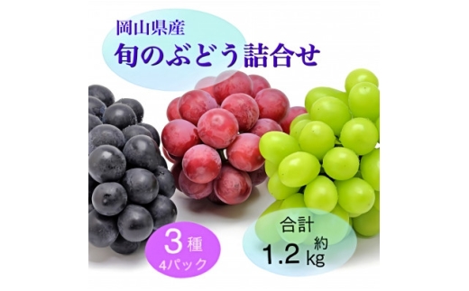 ＜2025年9月より順次発送＞岡山県産 旬のぶどう詰合せ 3種4パックセット【1575462】
