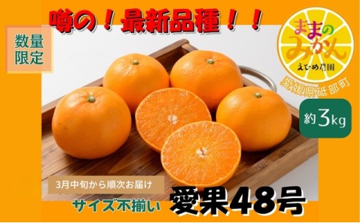 【新品種登場！数量限定　先行予約】訳あり愛果48号サイズ不揃い約3kg家庭用 3月中旬頃～順次発送〈産地直送 愛媛県 甘い みかん フルーツ〉 [№5310-0248] 1513533 - 愛媛県砥部町