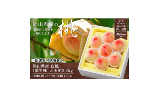 ＜2026年発送＞岡山県産　白桃(晩生種)約2.2kg(大玉6～7玉)【1614018】 2198333 - 岡山県津山市