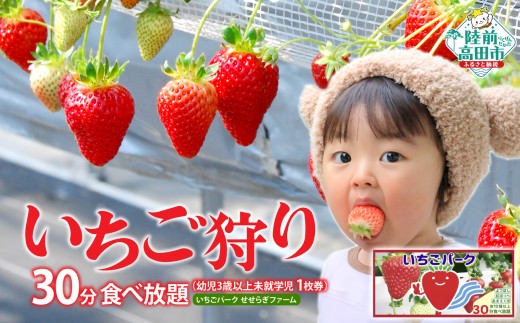 (幼児3歳以上未就学児 1枚券)いちごパーク せせらぎファーム いちご狩り30分食べ放題チケット