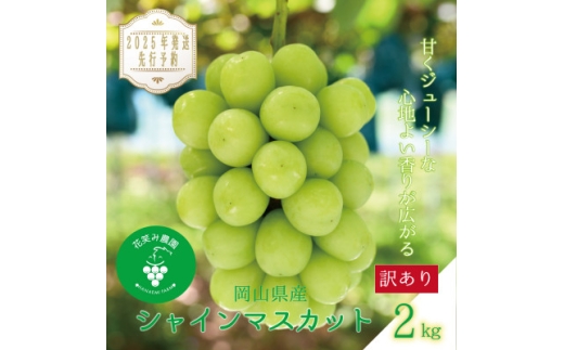 岡山　花笑み農園の『訳ありシャインマスカット』2kg　WS-2＜2025年9月下旬～順次発送＞【1593500】 2198296 - 岡山県津山市