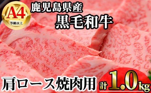 【数量限定】鹿児島県産黒毛和牛A4等級以上肩ロース焼肉用 (計1.0kg＋黒毛和牛こま切れ250g×2P) 鹿児島県産 牛肉 冷凍 【KNOT】 B198-v01