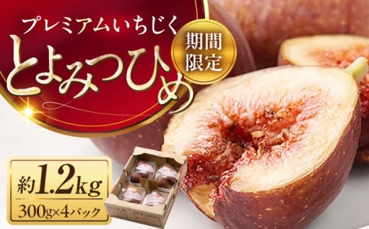 福岡産ブランド 無花果 とよみつひめ （約300g×4パック）《豊前市》【南国フルーツ株式会社】いちじく フルーツ 季節 果物 [VBY008]