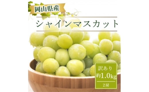 ＜2025年9月より発送＞訳あり家庭用　岡山県産 シャインマスカット  1.0kg以上(2房)【1612612】