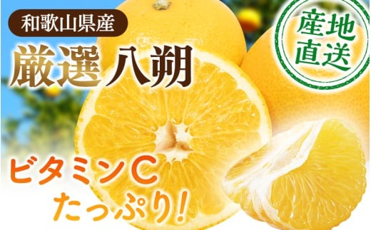 [先行予約][1月より発送] 厳選はっさく1kg+250g(傷み補償分)/ 晩柑 柑橘 フルーツ 新鮮 苦味 コク 農家直送 ジューシー みかん 和歌山 果汁 八朔みかん ハッサク 密柑 くだもの[ikd220]