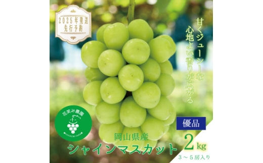 岡山　花笑み農園の『シャインマスカット』2kg(3～5房)優品　S-2優＜2025年9月下旬～発送＞【1593497】 2198295 - 岡山県津山市