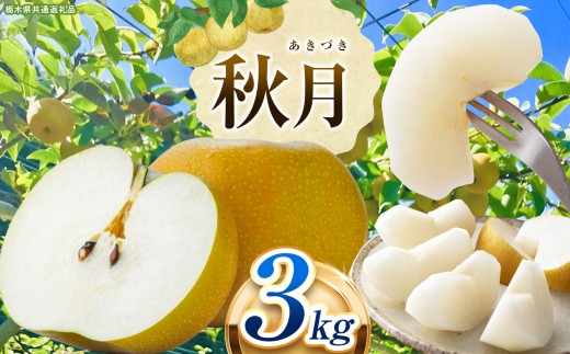 栃木県産 なし 梨 秋月 3kg 9月発送予定 | お取り寄せ 果物 くだもの フルーツ 梨 なし プレゼント ご褒美 甘い 贈答 秋 大きい 高評価 ナシ 8月 9月 10月 栃木県 真岡市 送料無料 栃木県共通返礼品