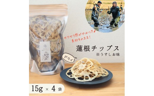 無添加・うす塩味　人間用乾燥蓮根チップス１５g　4袋セット