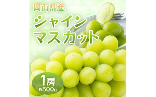 岡山県産シャインマスカット　1房・約500g(クール便)【1614353】 2198351 - 岡山県津山市