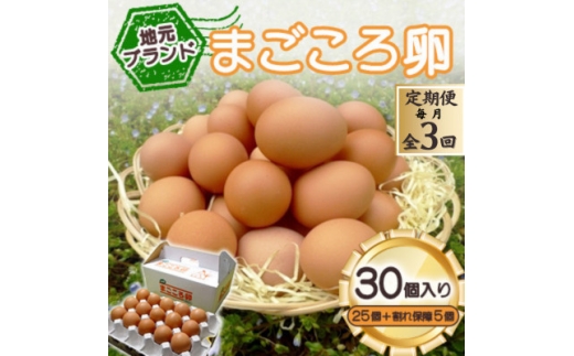 ＜毎月定期便＞「地元ブランド」まごころ卵30個入り(卵25個と割れ保障5個)　鶏卵(生食用)全3回【4070038】 2196230 - 山口県柳井市