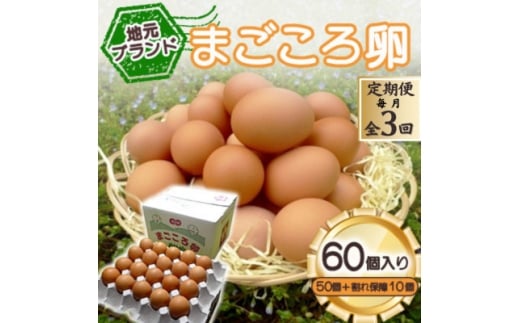 ＜毎月定期便＞「地元ブランド」まごころ卵60個入り(卵50個と割れ保障10個)　鶏卵(生食用)全3回【4070042】 2196232 - 山口県柳井市