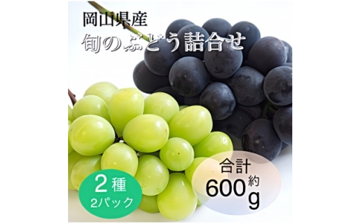 ＜2025年9月より順次発送＞岡山県産 旬のぶどう詰合せ 2種2パックセット【1575457】