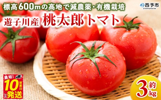 ＜標高600ｍの高地で減農薬・有機栽培の遊子川産 桃太郎トマト 約3kg＞ 国産 とまと 野菜 トマト 3キロ 西予市産 愛媛県産 産地直送 食べて応援 特産品 遊子川ザ・リコピンズ 愛媛県 西予市【常温】『令和7年8月～10月 / 最短10営業日以内に順次発送予定』