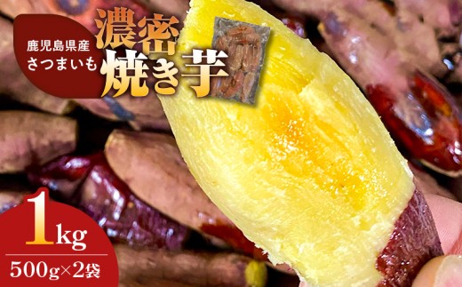 2683 濃密 鹿児島県産 さつまいも 焼き芋 1kg KN097-003-02 1511032 - 鹿児島県鹿屋市