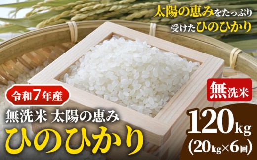 【令和7年産】 岡山県産 ひのひかり 笠岡産 20kg×6回（計120kg） 太陽の恵み （無洗米） st-p