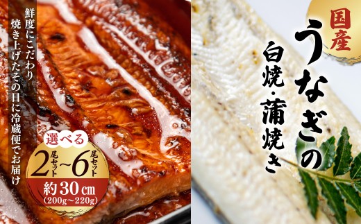 「国産うなぎの蒲焼き」×「国産うなぎの白焼き」 セット[凍らさず美味しさそのまま!〆たて・焼きたてを冷"蔵"で発送]地元飲食店に愛される、美味さにこだわった「国産うなぎの蒲焼き」×「国産うなぎの白焼き」セット 特上 うなぎ 蒲焼 ウナギ 鰻蒲焼き うなぎ蒲焼き 白焼き 人気 国産 浜名湖 うなぎ 関西 鰻蒲焼 養殖 冷蔵 ギフト ご褒美 人気 京都 京都府 福知山市 FCF017-v