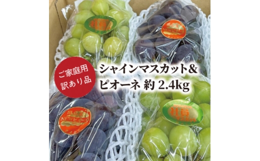 ＜きよとうファーム＞訳ありご家庭用ピオーネとシャインマスカット/計約2.4kg(岡山県産)【1602238】 2198309 - 岡山県津山市