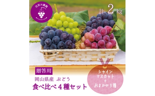 岡山　花笑み農園の『食べ比べ4種セット』シャイン入り(4房)贈答用　4M-2上＜9月中旬～順次発送＞【1626792】 2198369 - 岡山県津山市