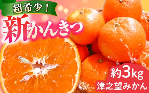 【ご家庭用】 津之望約3kg（つののぞみ） 長与町/果豊園 [ECL008]