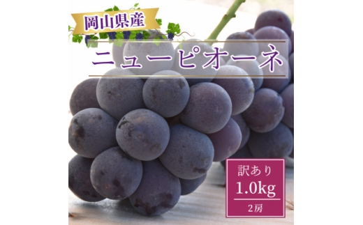 ＜2025年8月より発送＞訳あり家庭用　岡山県産ニューピオーネ1.0kg以上(2房)【1612618】