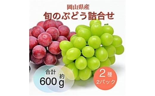 ＜2025年9月より順次発送＞岡山県産 旬のぶどう詰合せ 2種2パックセット【1575465】
